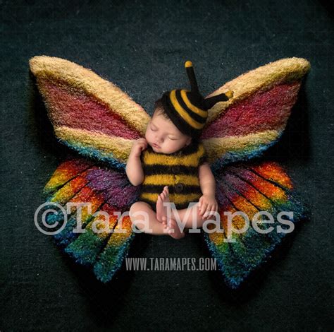 Needle Felted Butterfly Newborn Digital Backdrop Needle Felt