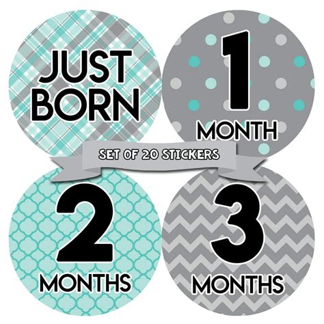 Baby Monthly Milestone Stickers First Year Set Of Baby Boy Month