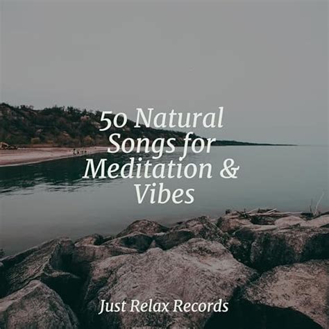 Play Natural Songs For Meditation Vibes By Ambient Yoga Namaste