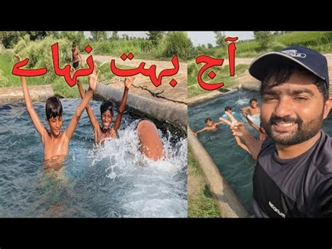 Aj Tubewell Pay Buhat Nahye Love Birds Ki Pairing Change Ki YouTube