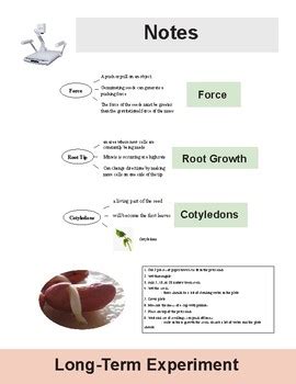 Force Of Seeds By Dr Dave S Science Teachers Pay Teachers