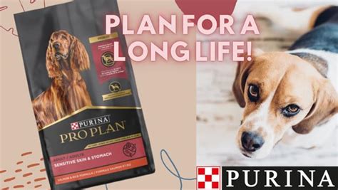 Purina Pro Plan Veterinary Diets Ha - Voeding Op Maat Voor Jouw Huisdier