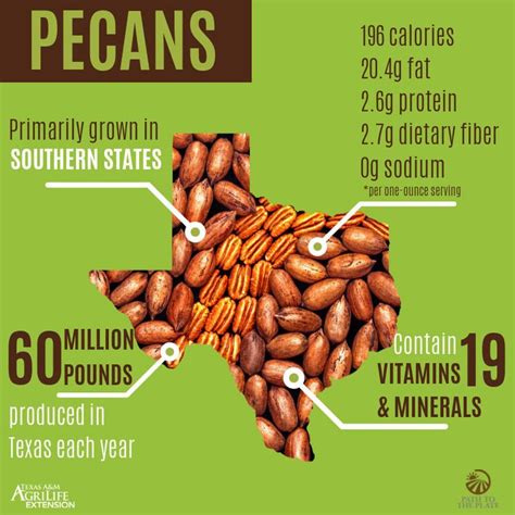 Nutrition And Agricultural Facts About Pecans And Growing Pecans In