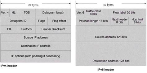 Ipv4 And Ipv6 Header Structure Download Scientific Diagram