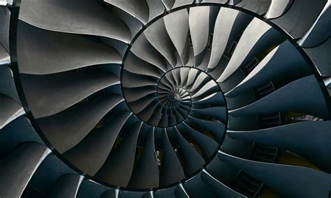 Biomimicry Plane