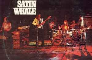 Satin Whale Desert Places Releases Discogs