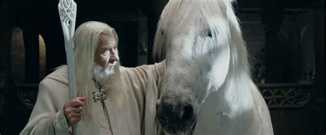 tolkiens legendarium - What horse or horses played Shadowfax? - Science Fiction & Fantasy Stack ...