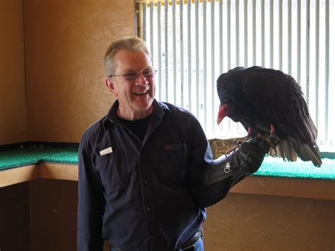 Where Is Cookie Codys Thriving Raptor Exhibit Gives Hands On Close