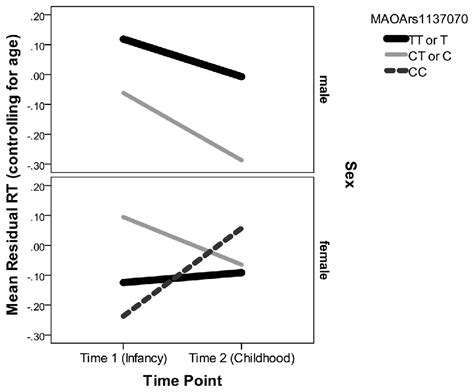 Frontiers Maoa Influences The Trajectory Of Attentional Development