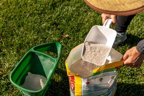 The Right Time To Apply Winter Fertilizer On Your Lawn Explained