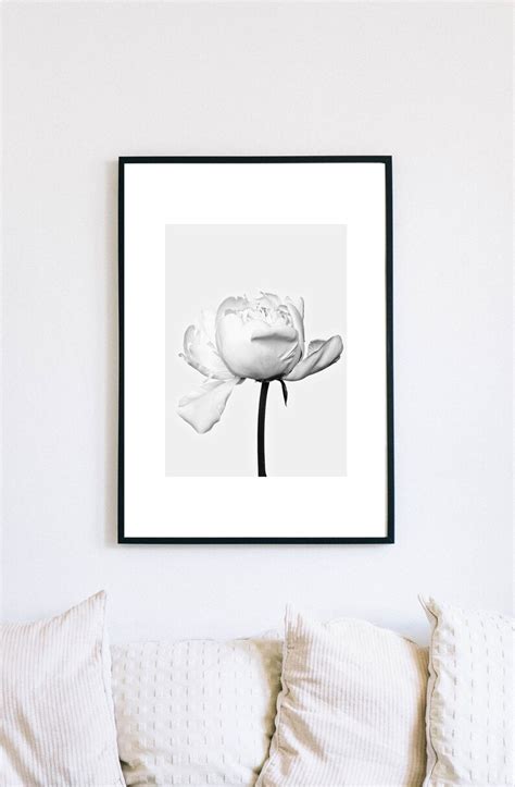 Peony Wall Art Peony Print Black and White Photography - Etsy