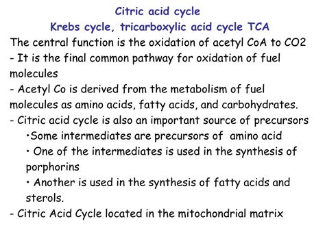 PPT Citric Acid Cycle Krebs Cycle Tricarboxylic Acid Cycle TCA