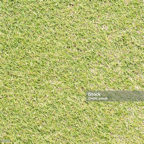 Green Grass Texture Stock Photo Download Image Now Backgrounds