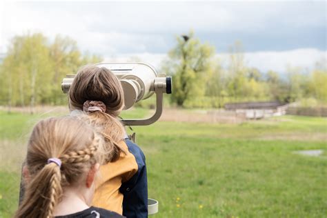 Naturstation Silberweide Standortförderung Zürioberland