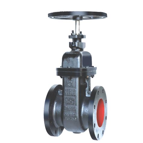 Di Ductile Iron Sluice Valve Pn Flanged Leader Valves Limited