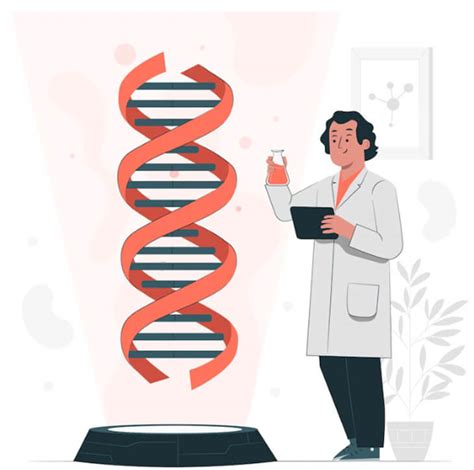 Advantages and Disadvantages of Genetic Engineering (2024 Updated)