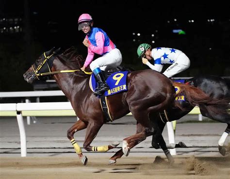 【帝王賞】伏兵メイショウハリオ初タイトル！歴戦のg1馬ねじ伏せた スポニチ競馬web