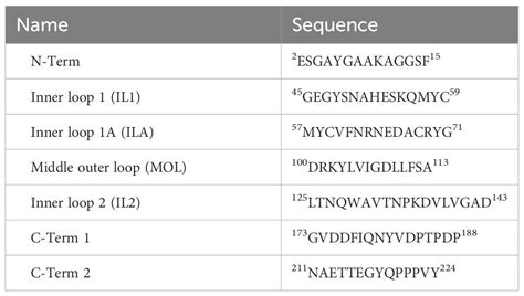 Frontiers Cellugyrin Synaptogyrin Dependent Pathways Are Used By