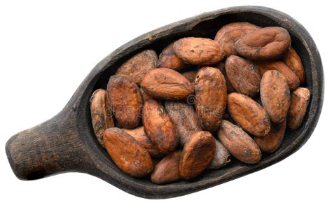 Cocoa Beans In Old Wooden Bowl Isolated On White Stock Photo Image