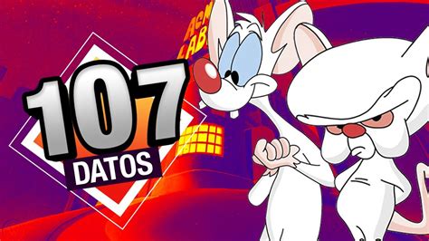 Datos Sobre Pinky Y Cerebro Que Debes De Saber Para Conquistar Al