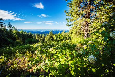 Moscow Mountain Visit North Central Idaho