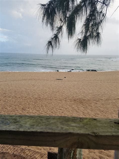 THE 15 BEST Things to Do in Haleiwa - 2022 (with Photos) - Tripadvisor