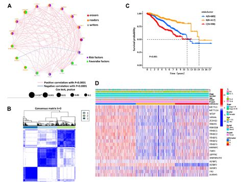 Figure From Analysis Of M A Methylation Modification Patterns And