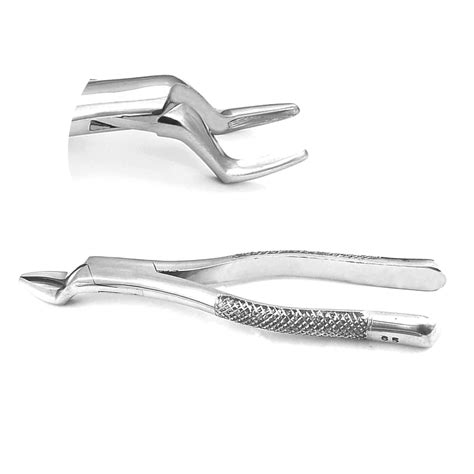 Amazon Ddp Extraction Forceps Upper Incisors Alveolar Bone