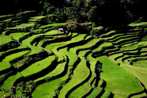 Asia Philippines Banaue Rice Terraces The Banaue Rice Flickr