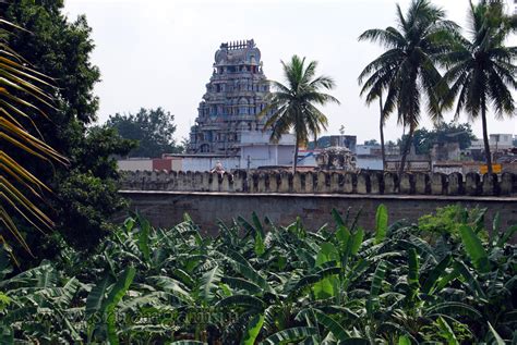 Garden Inside Srirangam Temple Getting A Makeover Trichy News