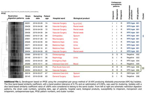 Pdf Outbreak Of Kpc Producing Klebsiella Pneumoniae At A Portuguese