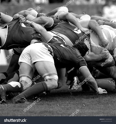 Melee During Rugby Match Stock Photo 1026954247 Shutterstock