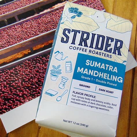 Strider Coffee Roasters Sumatra Mandheling Dark Roast Ground Indon