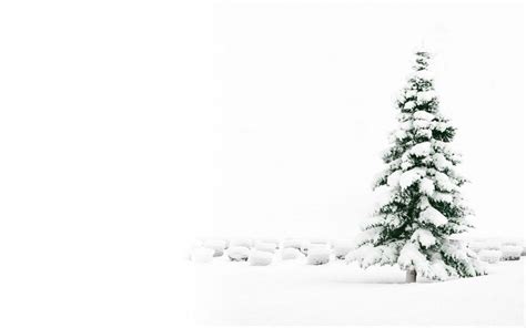 White Christmas Tree Wallpapers - Wallpaper Cave