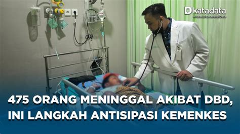 Orang Meninggal Dunia Akibat Dbd Ini Langkah Antisipasi Kemenkes