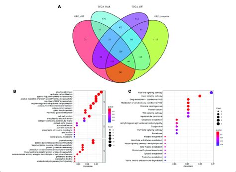 Identification Of Overlapping Genes Among DEG Lists Co Expression