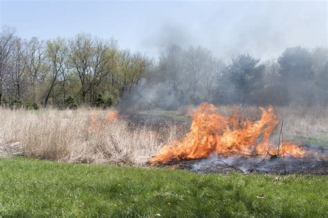 Prairie Fire — Lynn Carson Harris