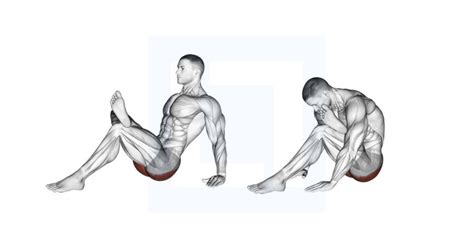 Dumbbell Single Leg Glute Bridge Guide Benefits And Form