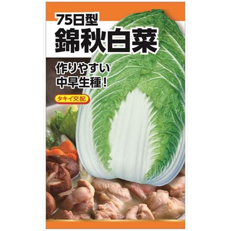 ニチノウのタネ タキイ交配 錦秋白菜 日本農産種苗 4960599235800 1セット（3袋入）（直送品） アスクル