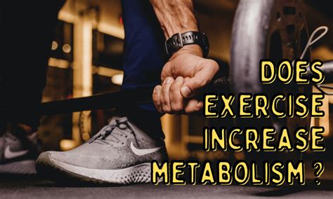 Does Exercise Increase Metabolism Nxtep Personal Training