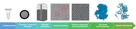 Single Particle Analysis Spa Creative Biostructure