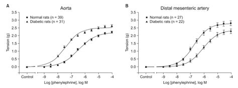 Concentration Response Curves For Phenylephrine Induced Contraction Of