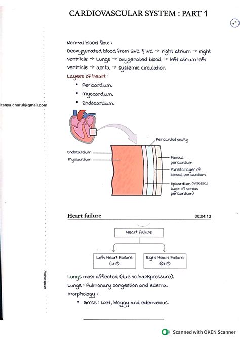 Patho CVS Diabetes Mellitus Studocu