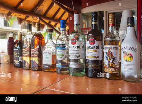 A Row Of Bottles Containing Different Kinds Of Alcohol Cozumel Mexico
