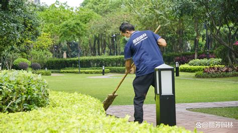 广东绿化养护公司排名 24小时免费上门报价 让免费设计 哔哩哔哩