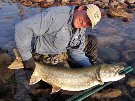 Pending 2 Pound Tippet Class World Record Lake Trout On The Fly Fly