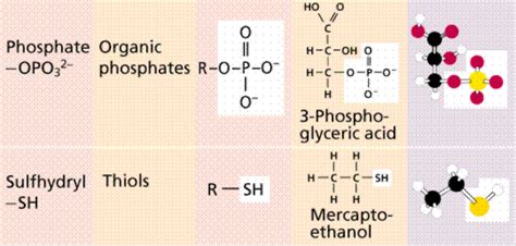 Lon Capa Chemistry Ii Water And Organic Molecules