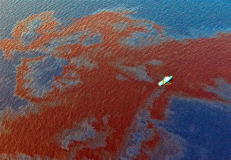 Immagini Dal Golfo Del Messico Mila Litri Di Petrolio In Mare Da