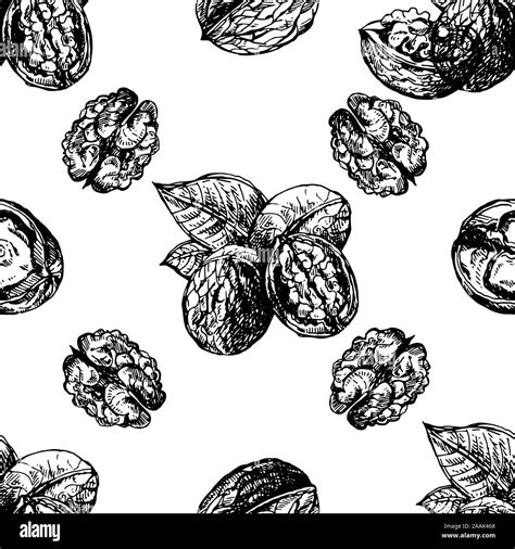 Seamless Pattern Of Hand Drawn Sketch Style Walnuts Isolated On White