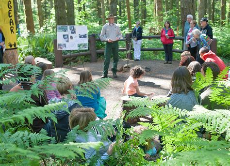 Silver Falls State Park North Canyon Nature Play Area Learning Landscapes Design